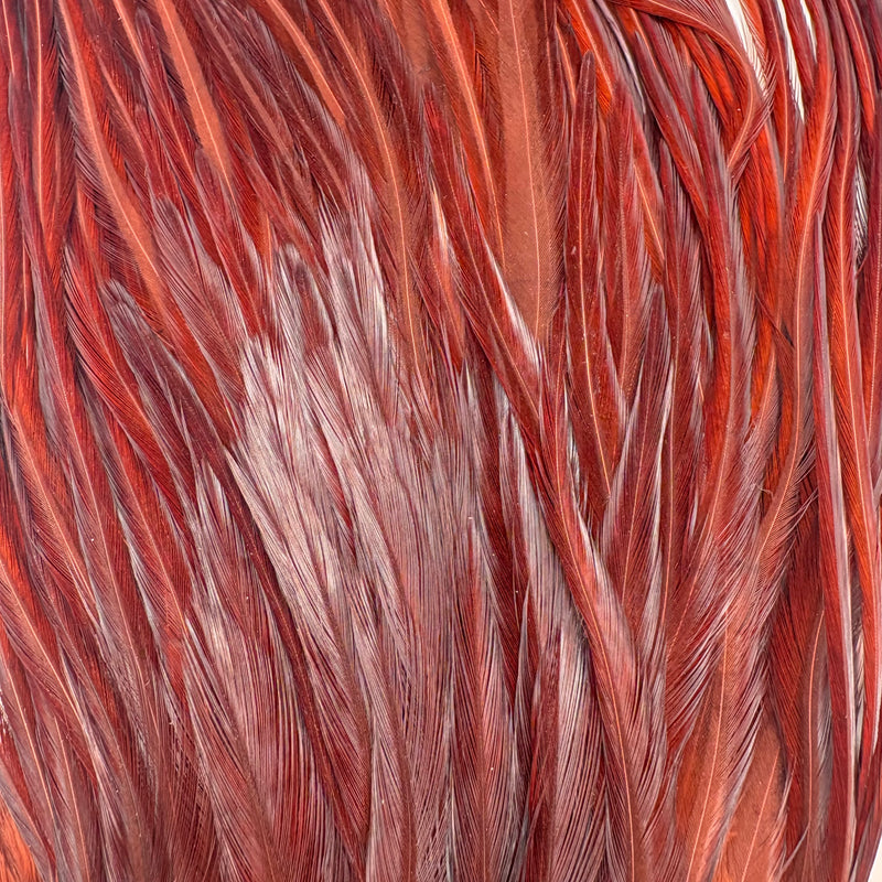 Load image into Gallery viewer, Brown dry fly hackle fibers with reddish maroon tips
