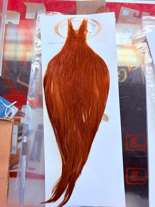 Ginger orange hackle feather bundle with long tapered body and wispy tail fibers