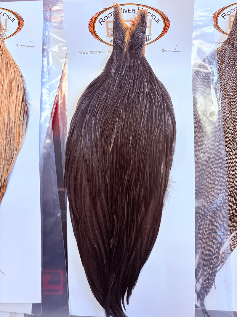 Load image into Gallery viewer, Dark brown hackle feather bundle with long tapered body and fine wisps at ends
