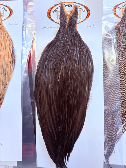 Dark brown hackle feather bundle with long tapered body and fine wisps at ends