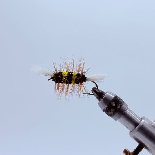 Bee Bomber