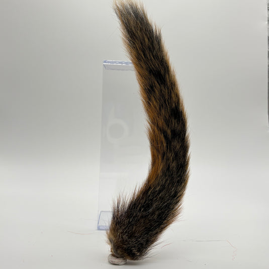 Darmor Squirrel Tail - Brown