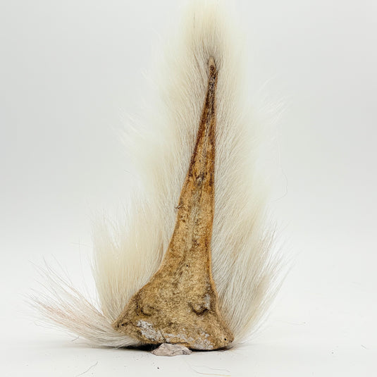 Cream bucktail-style fly tail with brown mottled base