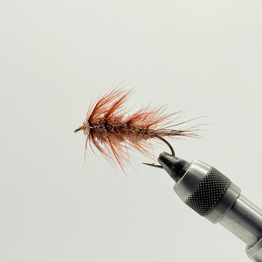 Carters Bug