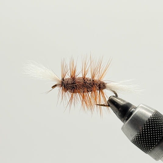 Brown Bomber