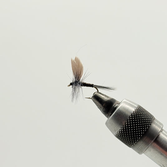 Blue Quill