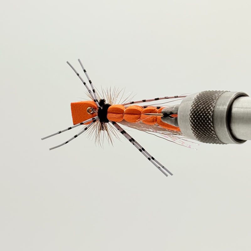 Load image into Gallery viewer, Orange foam hopper fly with black head, orange foam body, speckled legs, metal cone
