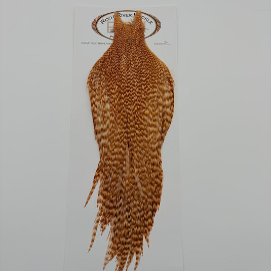 Hackle feather, brown and tan mottled with long trailing fibers