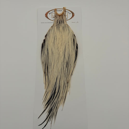 Hackle feather, light cream and grey with long silky trailing fibers