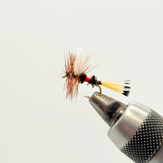Royal Coachmen Dry