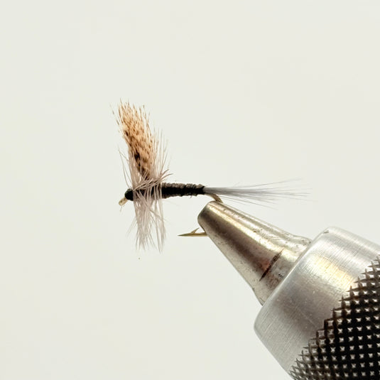 Quill Gordon Dry
