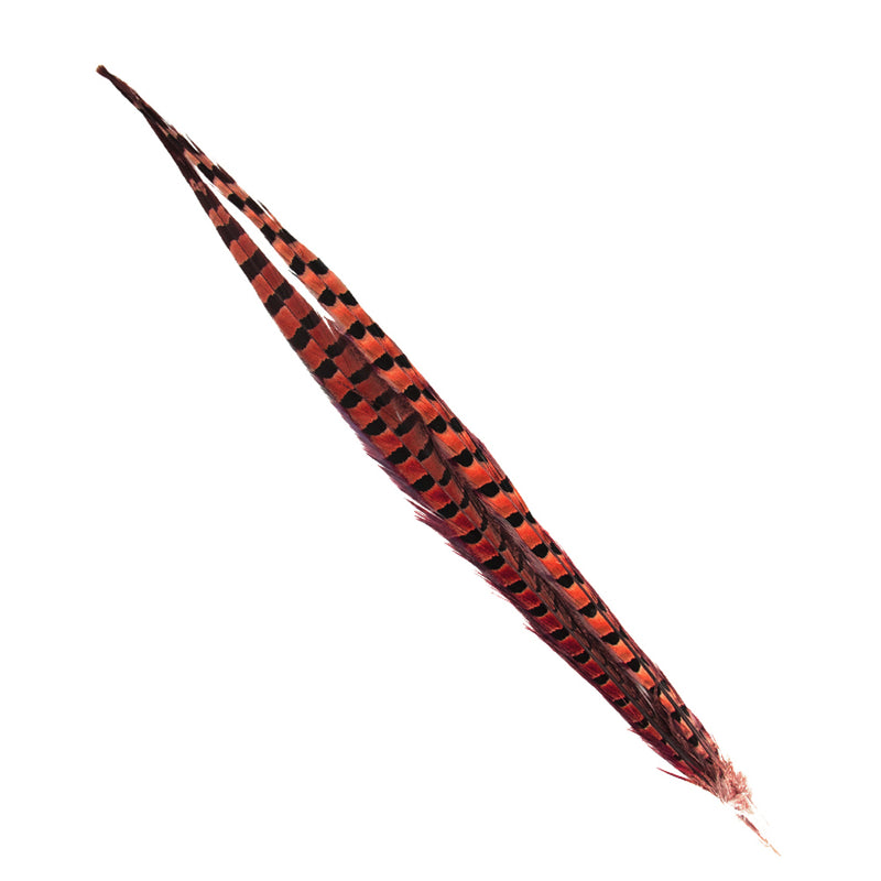 Load image into Gallery viewer, Shor Ring-Necked Pheasant Tail
