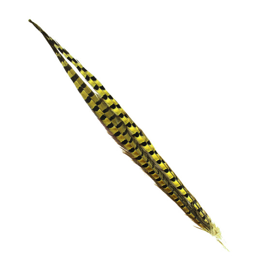 Shor Ring-Necked Pheasant Tail