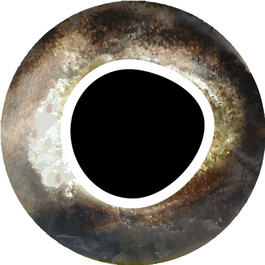 Silver circular lure eye sticker with white ring and black center