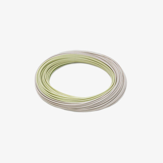 Double taper fly line coil in light olive and gray strands