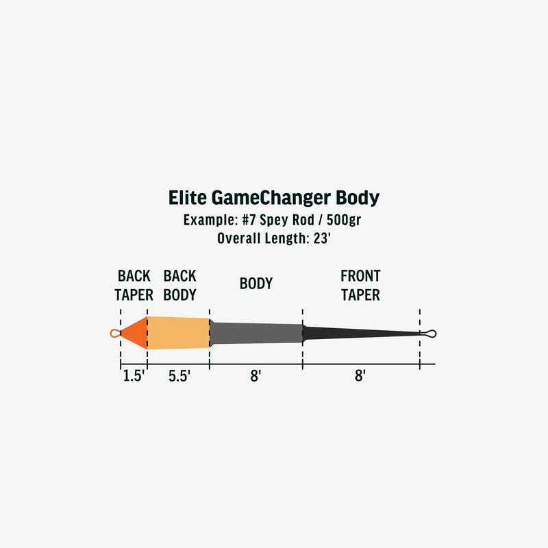 Load image into Gallery viewer, Shooting head body size chart diagram showing front and back taper lengths
