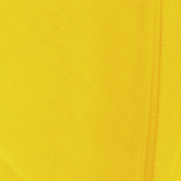 Load image into Gallery viewer, Shor Goose Quills
