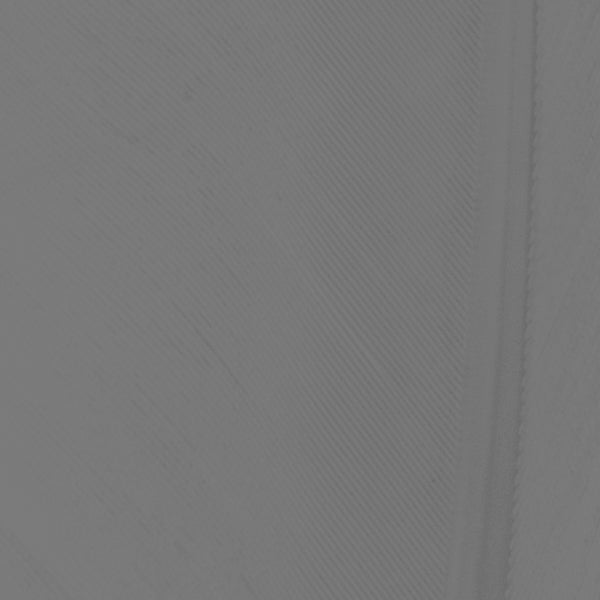 Load image into Gallery viewer, Shor Goose Quills
