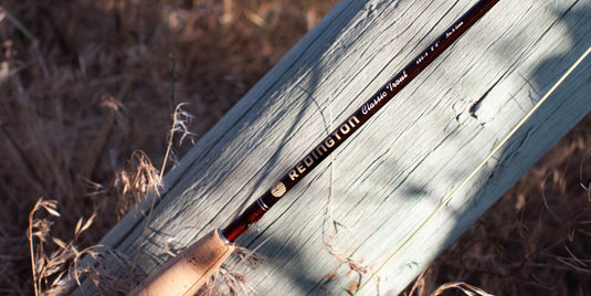 Fishing rod close-up: Redington Classic Trout label on dark blank