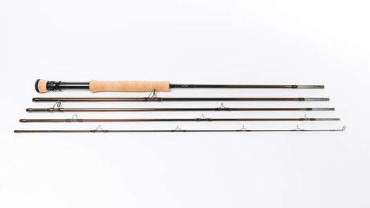 Nam REN 5 piece