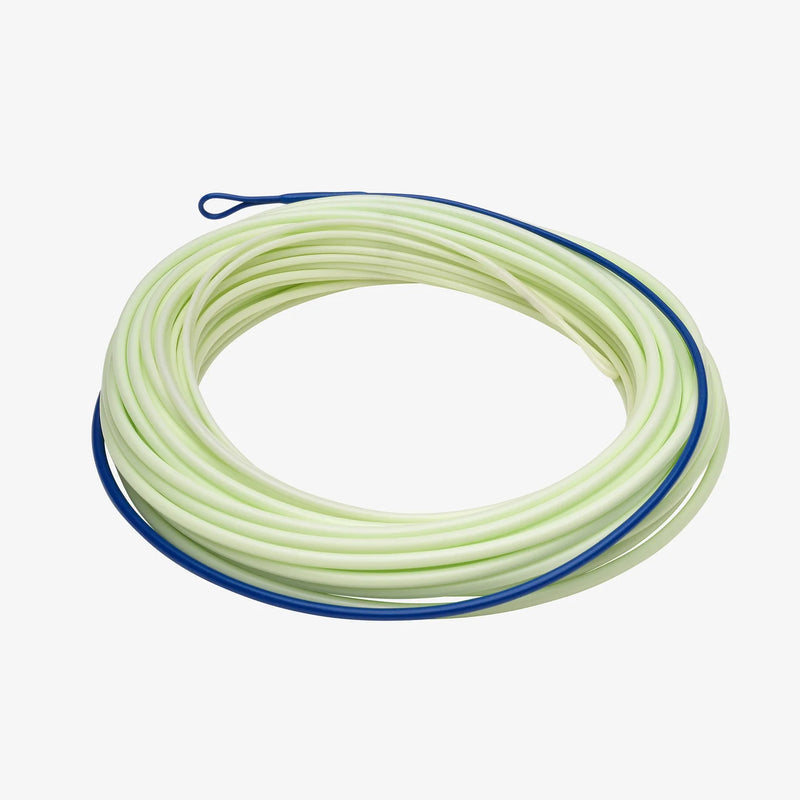 Load image into Gallery viewer, Pale green fly line shooting head coil with blue trim loop
