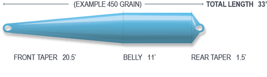 Blue fly line length with loops and label, Scandi compact style