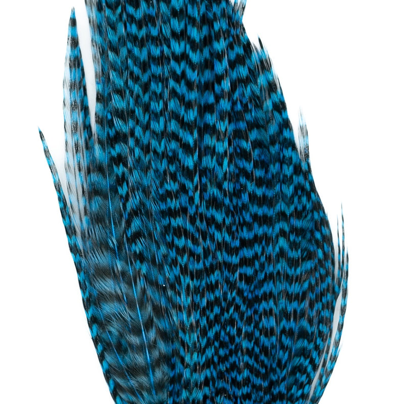 Load image into Gallery viewer, Genetic Rooster Mini-Pack
