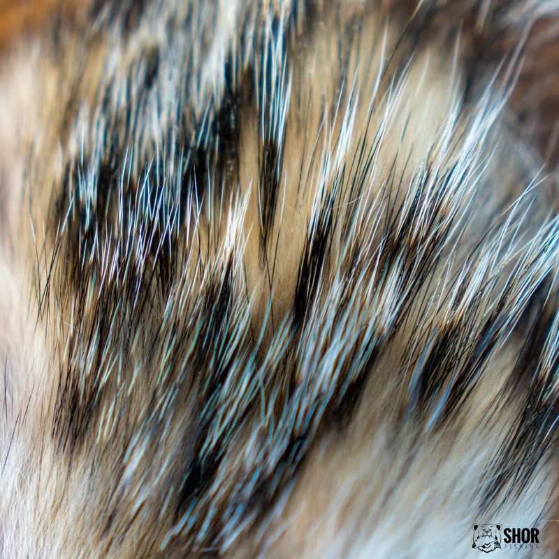 Load image into Gallery viewer, Badger fur trim with blue-gray and white tones, dense short hairs
