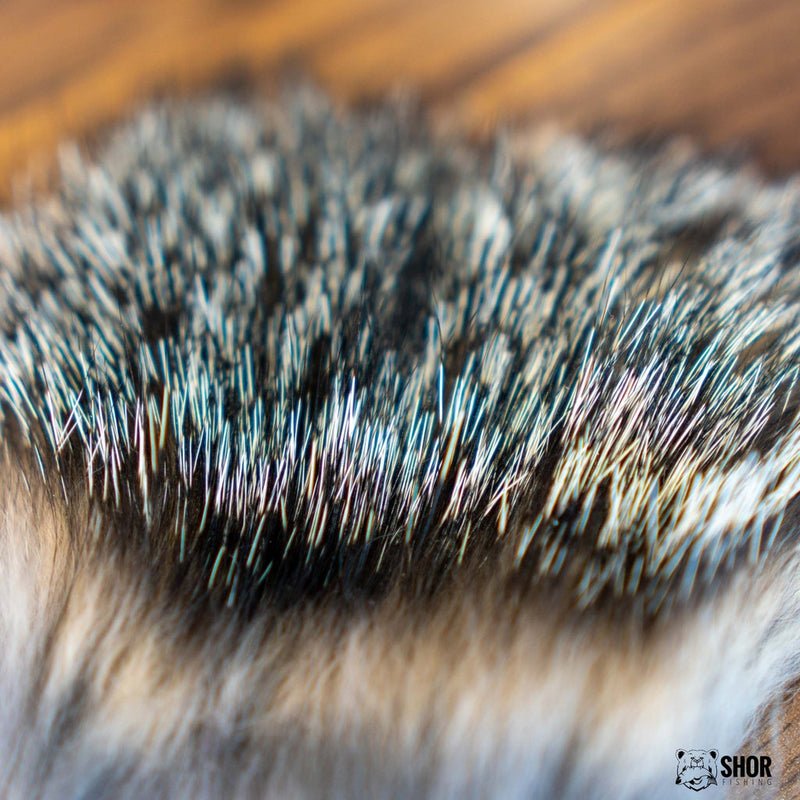 Load image into Gallery viewer, Close-up of gray fox fur fibers with dense, short pile
