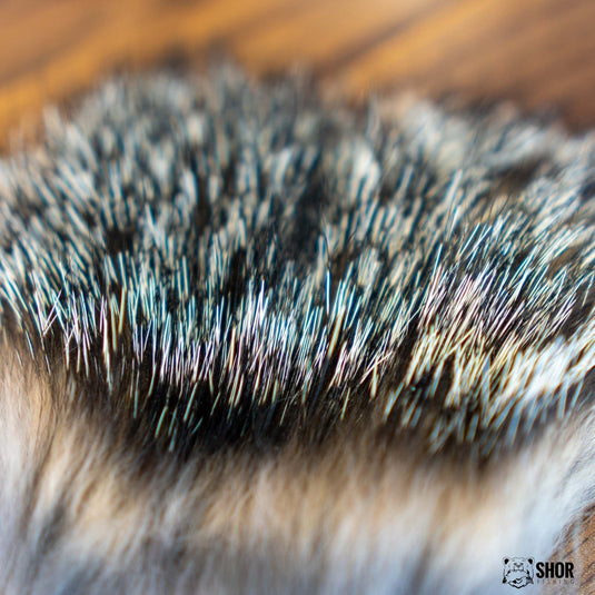 Close-up of gray fox fur fibers with dense, short pile