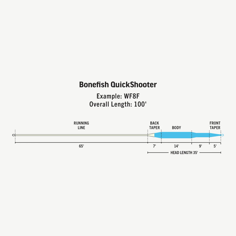 Load image into Gallery viewer, Fly line length diagram with front and back taper and overall length 100 ft
