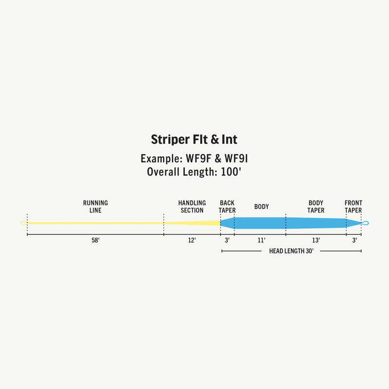 Load image into Gallery viewer, Fly line diagram with running line, handling section, back taper, and body lengths
