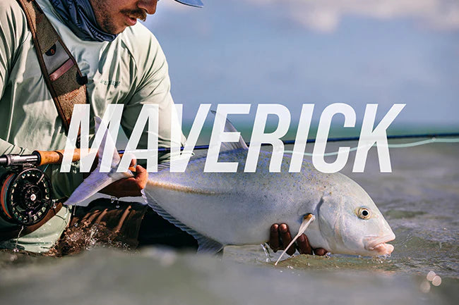 Load image into Gallery viewer, Fishing rod being used near a fish in shallow water
