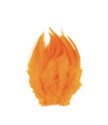 Shor Hackle