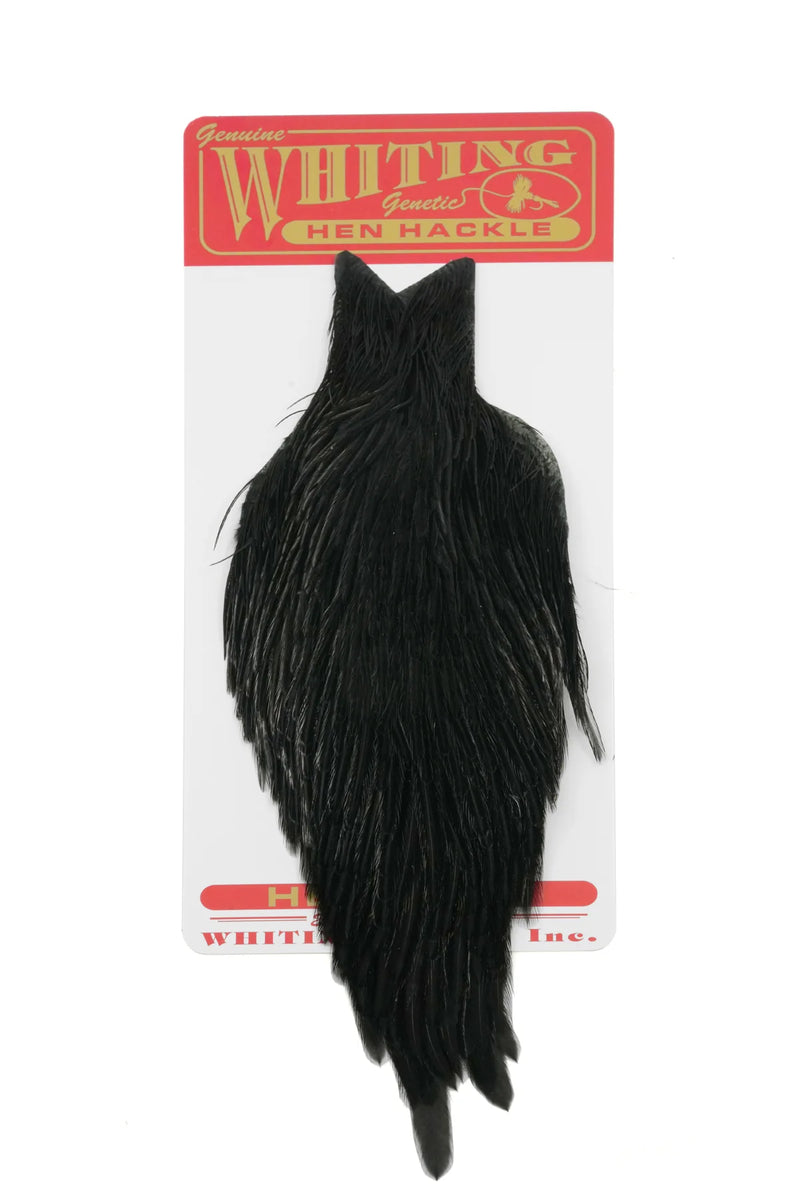 Load image into Gallery viewer, Black feather hen cape with pointed tail and curved shoulders
