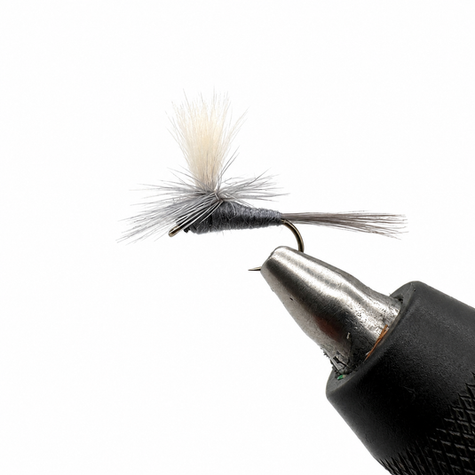 Parachute Blue Dun Dry