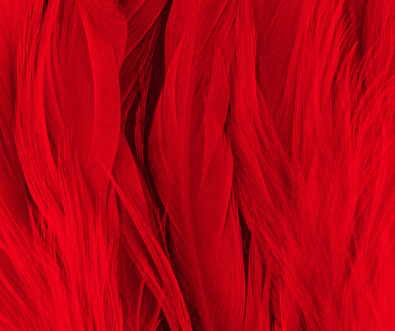 Load image into Gallery viewer, Shor Schlappen
