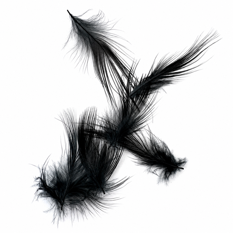 Load image into Gallery viewer, Fishing Fever Heron feathers in dark black, fanned plume style
