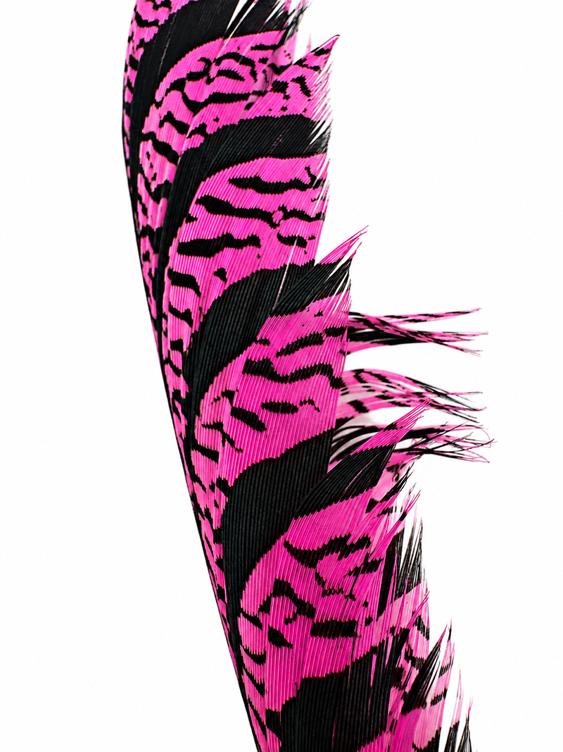 Load image into Gallery viewer, Dyed pheasant tail feather, hot pink leopard pattern on dark base

