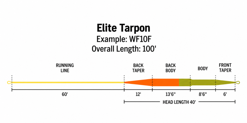 Load image into Gallery viewer, Fishing line length diagram with running line, back taper, body, front taper
