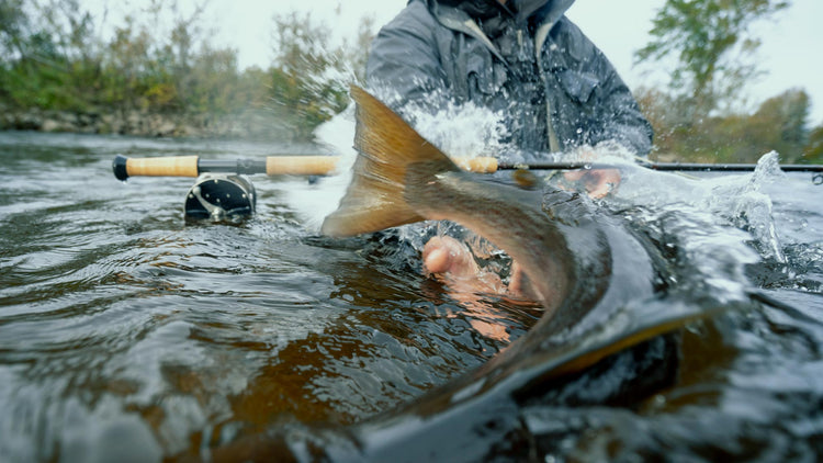 Fish being reeled in from a river with a blurred background