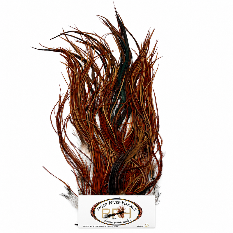 Load image into Gallery viewer, Root River Saddle feather tuft with brown and black mixed fibers
