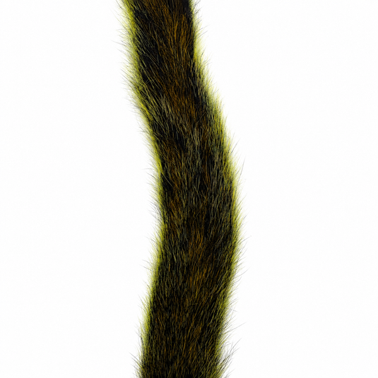 Squirrel tail with long chartreuse and dark olive fur, dense tufted fibers