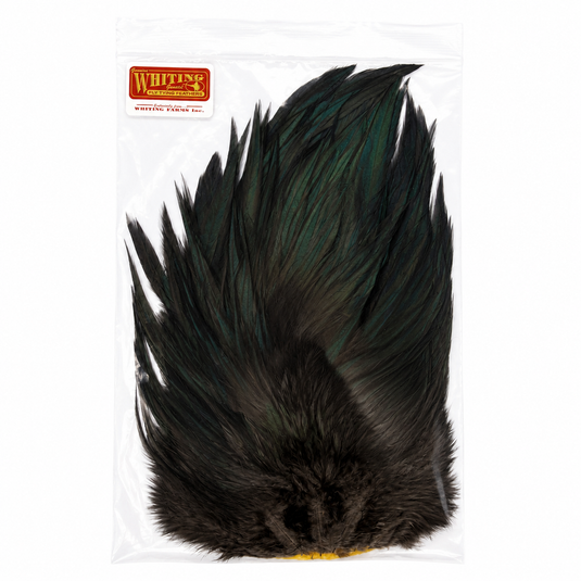 Whiting 4B Rooster Saddle