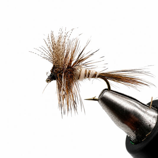 Eastern March Brown Dry