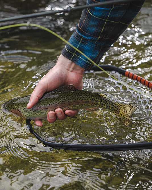 Simms Daymaker Landing net - Small