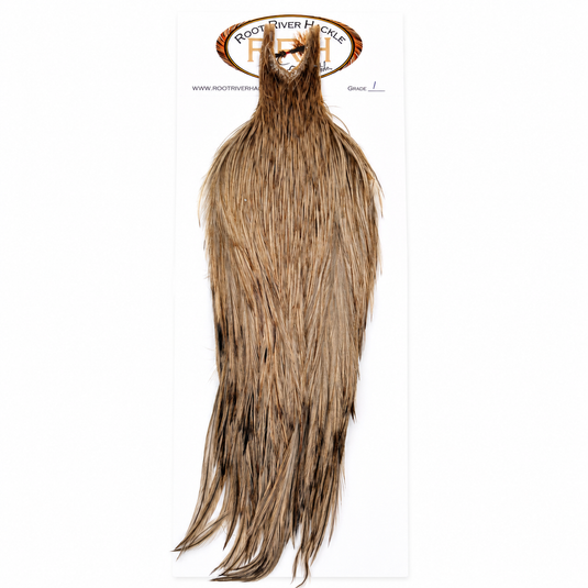 Root River Hackle