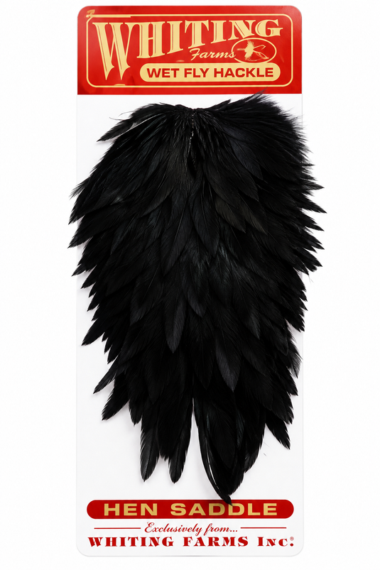 Black hen saddle feather with layered, spiky quills