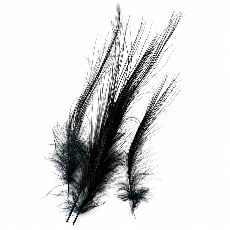 Load image into Gallery viewer, Fishing Fever Heron feathers in dark teal-green and black, fanned plume style
