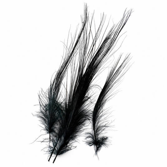Fishing Fever Heron feathers in dark teal-green and black, fanned plume style